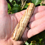 Aragonite Round 3.8" Wand Reflexology Massage Crystal Healing Chakra ~100g