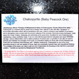 Perfect Pendant Baby Peacock Ore Crystal Energy Pendant 20" Silver Chain