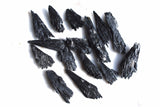 Brazilian Black Kyanite FanBlade Crystal Perfect Pendant + 20" Silver Chain