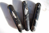 CHARGED 4.0"  Orthoceras Fossil Wand Reflexology Massage Crystal Energy Healing