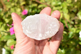 4" Twin Tower Divine Mind Selenite Crystal (Energy Healing)  - ZENERGY GEMS