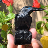 [1] XXL Black Onyx Crystal Hand-Carved Raven Reiki NEGATIVE ENERGY PROTECTION!