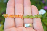 CHARGED Citrine & Peridot Crystal Chip Stretchy Bracelet HEALING REIKI ENERGY!