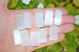 ZENERGY GEMS: 10 Amazing Pure WHITE Selenite Natural Crystals POWERFUL 1/4lb