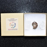 CHARGED Flashy Opalized Ammonite (Amolite) Perfect Pendant + 20" Silver Chain