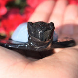 XL CHARGED 4" Angelite Black Onyx Crystal Hand-Carved Turtle Peaceful Protection