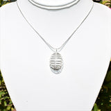 CHARGED Apophyllite Crystal Perfect Pendant + 20" Silver Chain REIKI WOW!