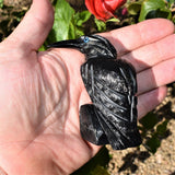 [1] XXL Black Onyx Crystal Hand-Carved Raven Reiki NEGATIVE ENERGY PROTECTION!