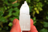 [4pcs] 2.5" Selenite Crystal Towers of Divine Mind Healing POWER: ZENERGY GEMS