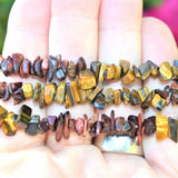 CHARGED Red Tiger Eye & Golden Tiger Eye Crystal Chip Stretchy Bracelet REIKI !