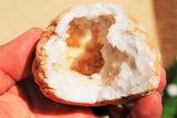 [2] Two x 3" Natural Geode Pairs Crystal Geode Quartz Druze Specimen Moroccan