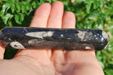 CHARGED 4.0"  Orthoceras Fossil Wand Reflexology Massage Crystal Energy Healing