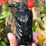 [1] XXL Black Onyx Crystal Hand-Carved Raven Reiki NEGATIVE ENERGY PROTECTION!