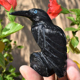 [1] XXL Black Onyx Crystal Hand-Carved Raven Reiki NEGATIVE ENERGY PROTECTION!