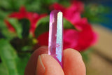 xToo Hot Pink™ Rainbow Aura Quartz Crystal Perfect Pendant™ 26" 925 Silver Chain