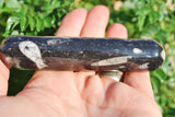 CHARGED 4.0"  Orthoceras Fossil Wand Reflexology Massage Crystal Energy Healing