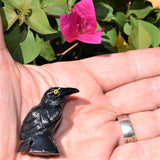 [1] LG 1.65" Black Onyx Crystal Hand-Carved Raven Reiki NEGATIVE ENERGY PROTECTION!