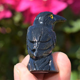 [1] LG 1.65" Black Onyx Crystal Hand-Carved Raven Reiki NEGATIVE ENERGY PROTECTION!